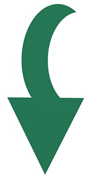 Curved Arrow